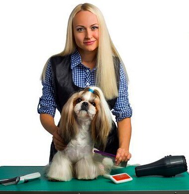 груминг ши-тцу